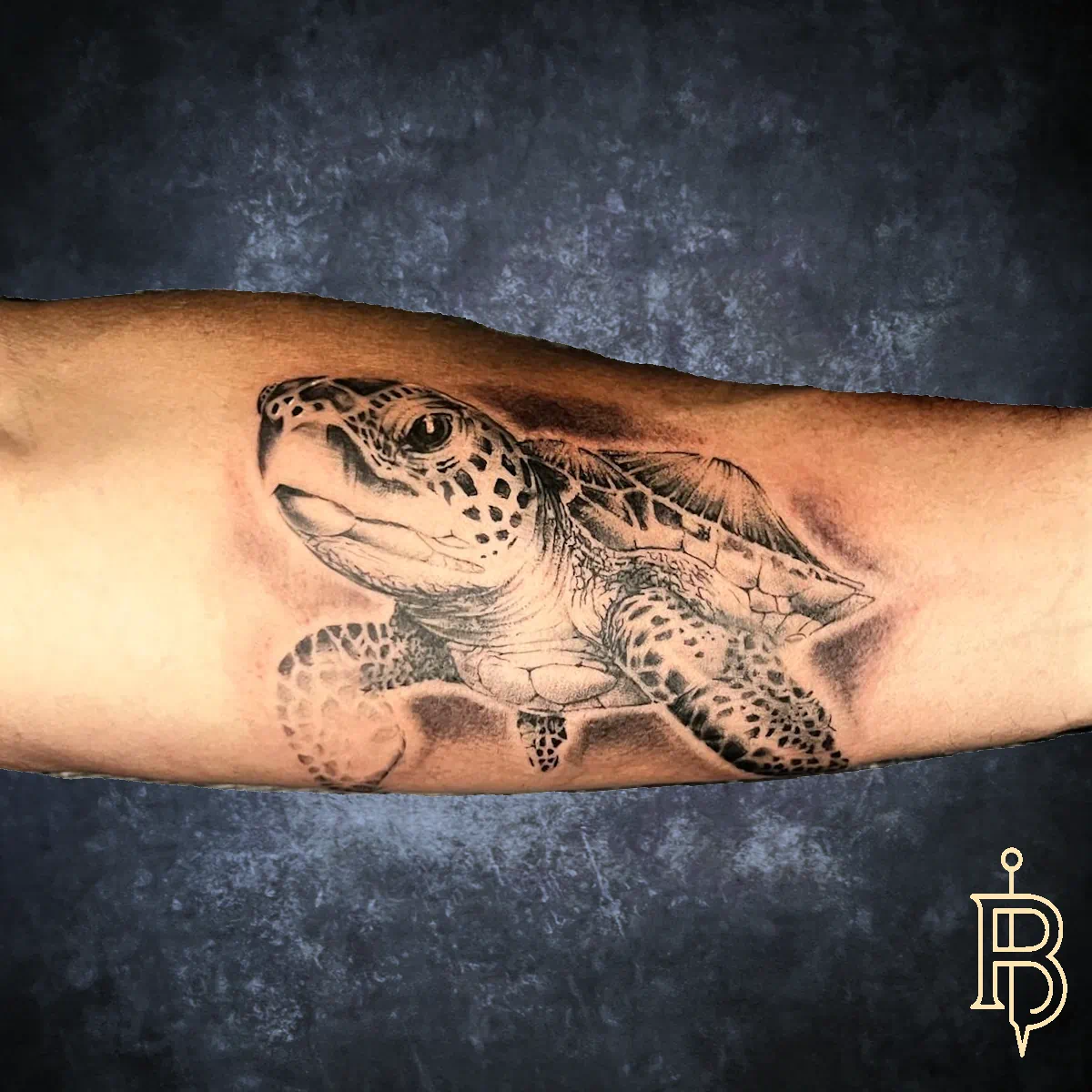 Tattoo Schildkröte Realistic Black & Grey - Unterarm